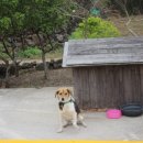 성산게스트하우스킴스캐빈