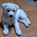 부여청계농장 이미지