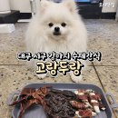 고랑두랑 수제간식공방 네이버블로그