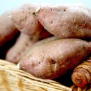 창희네 농장 이미지