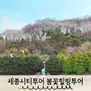 봄꽃힐링투어 이미지