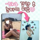 바디플래너 이미지