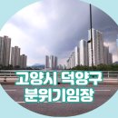 행신동 서정마을 택지지구 내 全 구간 | 고양시 덕양구 분위기 임장