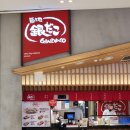 종로-신영-종로-영-285 | 15주차 _ 고양이 관찰일지, 청모