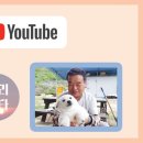 울타리천국 이미지