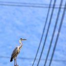 섬진강 트레킹코스 이미지