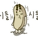 평택복싱스타 이미지