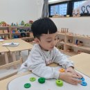 독서N스피치 | :) 7세 아이 학습 습관 잡기, 몬테소리 융합교육 다녀본 솔직 후기(독서·수학 교구 수업)