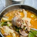 신군족발 | 대전 3대 순대국밥 신성동 천리집 유성 자운대 맛집 혼밥 주차 포장