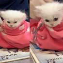 예송동물병원 이미지