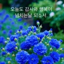 엄마 백중 천도제 모시고~~ 이미지