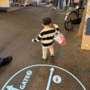 덕산시장 공중화장실 | 충남여행, 덕산 스플라스 리솜 다녀왔어요~ (스테이타워 S30 클린룸, 예당호, 예산시장)