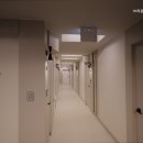 대전브라운도트 월평점 이미지