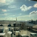 타나라운지 | 몰디브 신혼여행 벨리간두 리조트 가는 법 수상비행기 라운지 후기