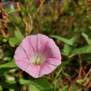 은나래복지용구 이미지