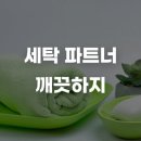 🦷 치과의원의 깨끗함을 책임지는 세탁 파트너, 깨끗하지
