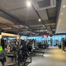 디케이휘트니스 이미지