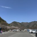 산꽃벚꽃마을 오토캠핑장 이미지