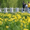 거창창포원 문화광장 이미지