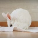 도형목욕탕 이미지