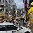 블루닷 포쉬텔 이미지