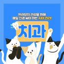 더 건강한 동물병원 네이버블로그