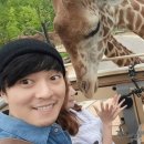 알콩달콩 이미지