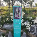 북천동물병원 | 평택 동삭동 애완견 강아지(반려견) 동반 시민쉼터(주차, 이용시설)