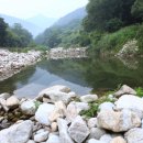 이동계곡 캠핑장 이미지