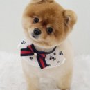 성공짐 이미지