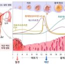 을지로다정약국 이미지