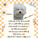 이즈멍 네이버블로그