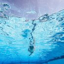 토이키즈 스윔클럽 이미지