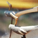 해당화마을펜션 이미지