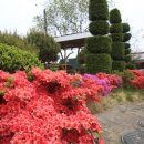 엄지민박 이미지