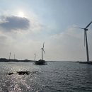 푸른신창 이미지