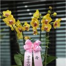 반송로924번길 이미지