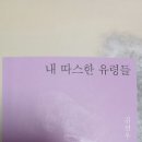 어떤 날의 처방전/김선우 이미지