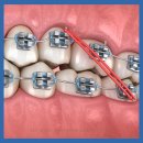 365서울차오름치과의원 이미지