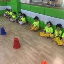 용인대 명성 태권도 네이버블로그