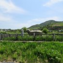 무양동 석조귀부 | 경북 상주시 무양동 석조귀부