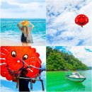 (주)광남관광여행사 | 코타키나발루 패키지 여행 스냅 호핑투어 단독 투어 여행사 후기