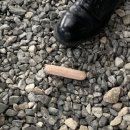 세진농장 | 여자에게 제일 필요한건... 돈이겠지... 5월 근황