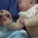 가현농장 이미지