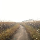 귀래생태공원 이미지