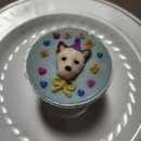 독구제과 | 동두천 반려동물 수제간식 전문점 독구제과..강아지 간식,애견용품