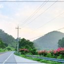 다 잡아 콜 이미지