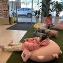 미즈약국 이미지