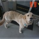 붕붕타이어정비 이미지