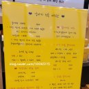 츄츄애견 이미지